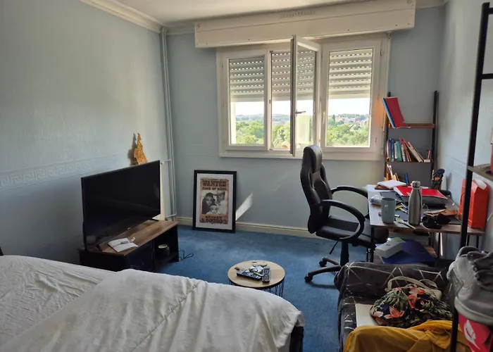 Pour Les 24h Du Mans Et Autres * Le Mans